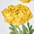 即日★【造花】MAGIQ東京堂/ドライドラナンバンドル #4 YELLOW/FM001909-004