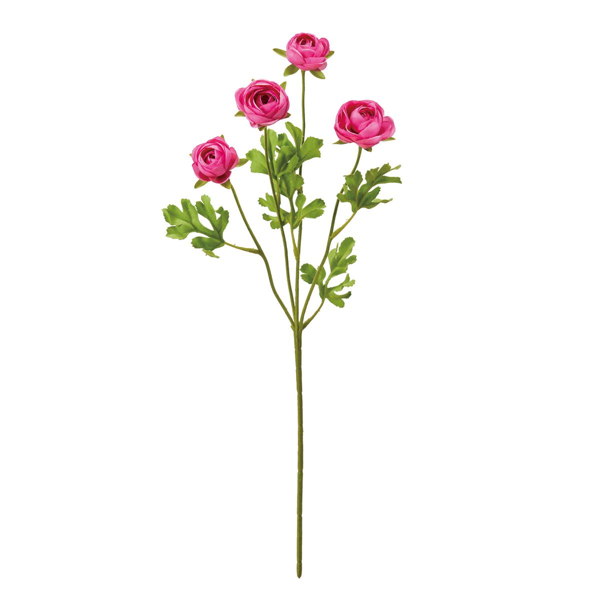 即日 造花 Magiq 東京堂 グローブラナンキュラス 52 Dkpk Fm 052 通販 はなどんやアソシエ 即日 造花 Magiq 東京堂 グローブラナンキュラス 52 Dkpk Fm 052 通販 はなどんやアソシエ