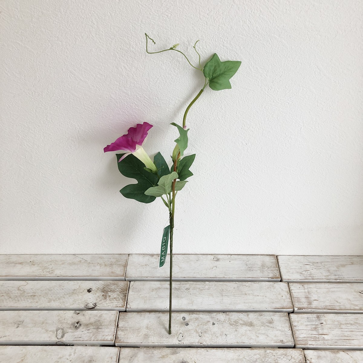 即日 造花 Magiq 東京堂 江戸朝顔 12 Orchid Fm0003 012 通販 はなどんやアソシエ 即日 造花 Magiq 東京堂 江戸朝顔 12 Orchid Fm0003 012 通販 はなどんやアソシエ