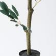 【人工観葉植物】MAGIQ東京堂/オリーブツリーポット4F(光触媒)/ZV003920 ※返品キャンセル不可