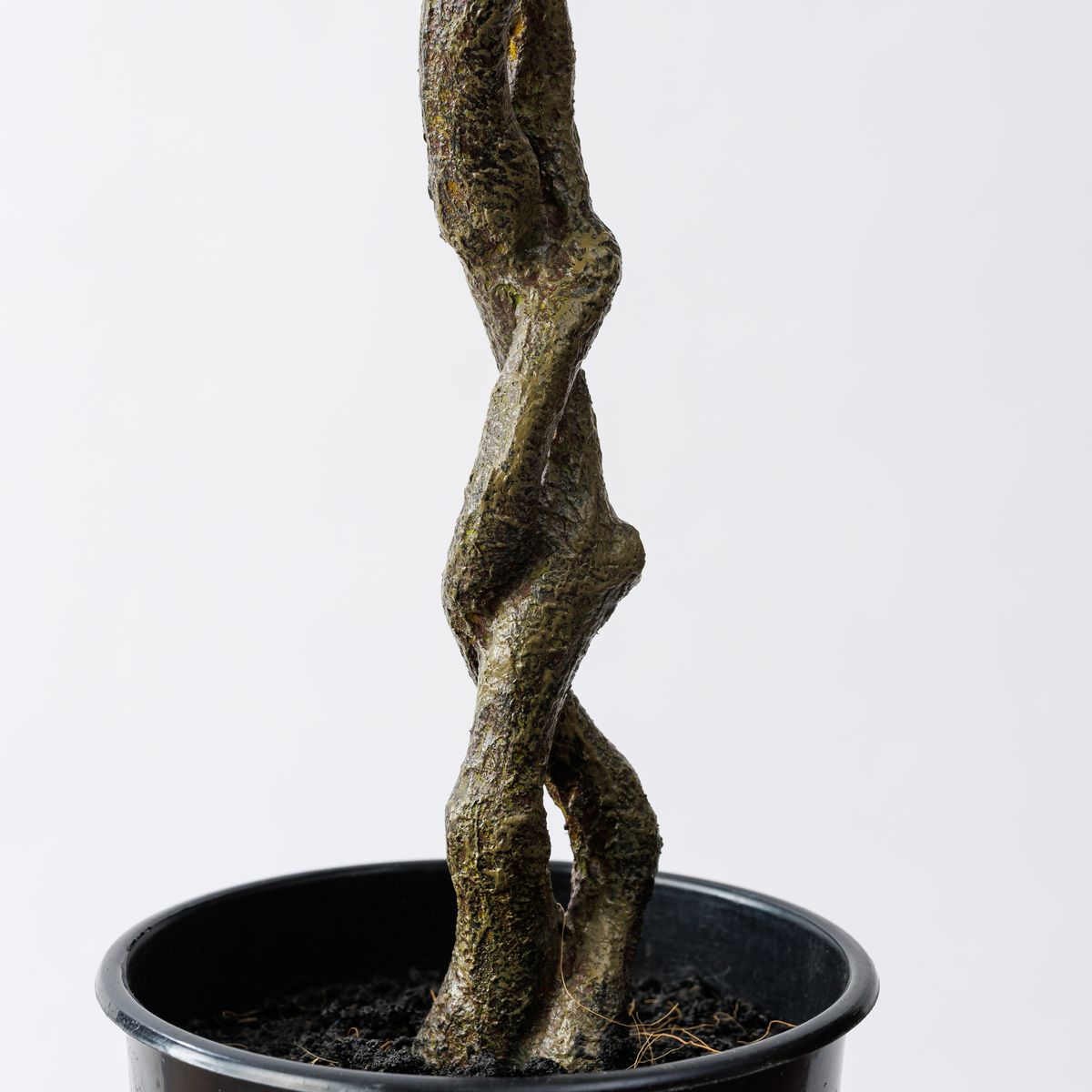【人工観葉植物】MAGIQ東京堂/ファイカスツリーポット ミニ(光触媒)/ZV005830 ※返品キャンセル不可