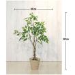 【人工観葉植物】MAGIQ東京堂/ファイカスツリーポット ミニ(光触媒)/ZV005830 ※返品キャンセル不可