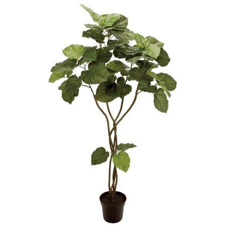 【直送】【人工観葉植物】MAGIQ東京堂/ウンべラータ ツイスト5F(光触媒)/ZV005226 ※返品代引キャンセル不可