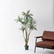 【直送】【人工観葉植物】MAGIQ東京堂/ドラセナ(光触媒)/ZV025650 ※返品代引キャンセル不可