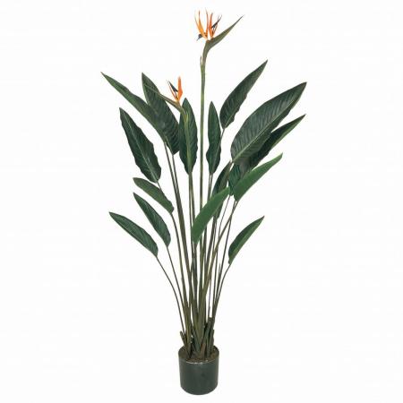 【人工観葉植物】MAGIQ東京堂/ストレチアプラント(光触媒)/ZV007416 ※返品キャンセル不可