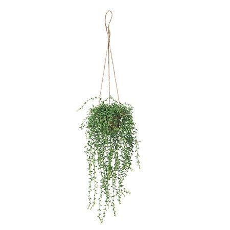 【人工観葉植物】MAGIQ東京堂/グリーンネックレスハンギング(光触媒)/ZV000125 ※返品キャンセル不可