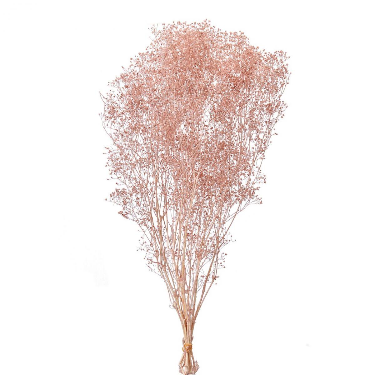 【プリザーブド】ソフトミニカスミ草 22g ピンクグレープ/FD004551-062