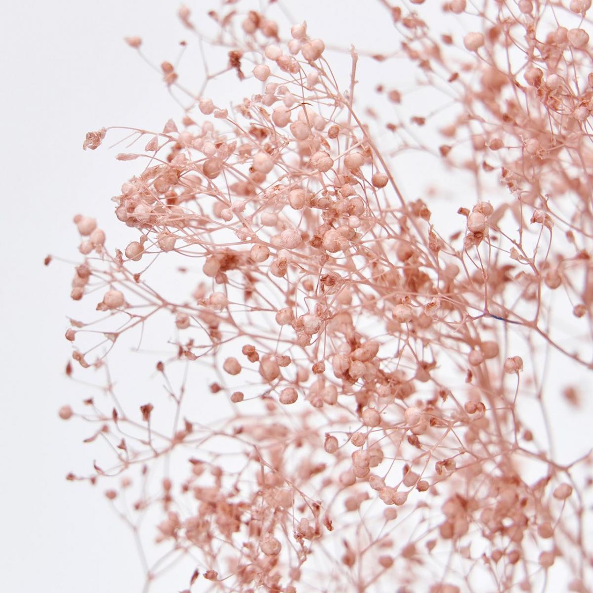 【プリザーブド】ソフトミニカスミ草 22g ピンクグレープ/FD004551-062