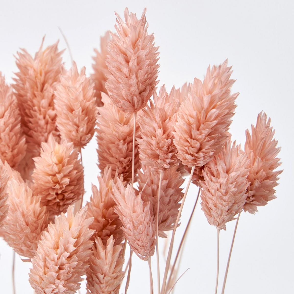 【ドライ】ポアプランツ 15g ピンクグレープ/FD004571-062