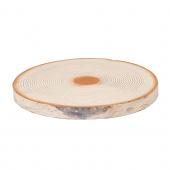 東京堂/白樺ツリースライス/XU003124