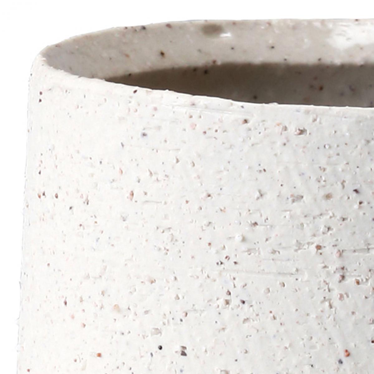 特価◎イオニアバンブーS/CWCR008S