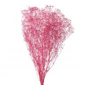 【プリザーブド】ソフトミニカスミ草 ラズベリー/FD004551ｰ053