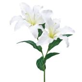 【造花】MAGIQ(東京堂) ReCO/イノセントリリー WHITE ホワイト/FM302210