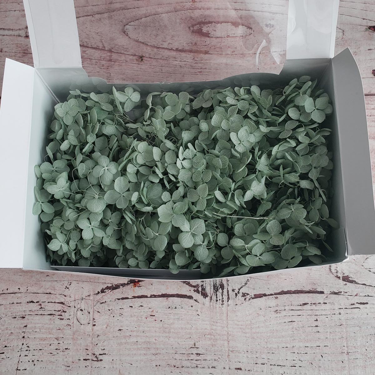 即日★【プリザーブド】東京堂/ソフトあじさいアナベル ペパーミント 約2輪/FD004730-235