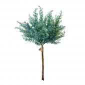 【造花】東京堂/ジュニパーバンドル 3本 ブルーグリーン #22 BL.GR/XV000623-022