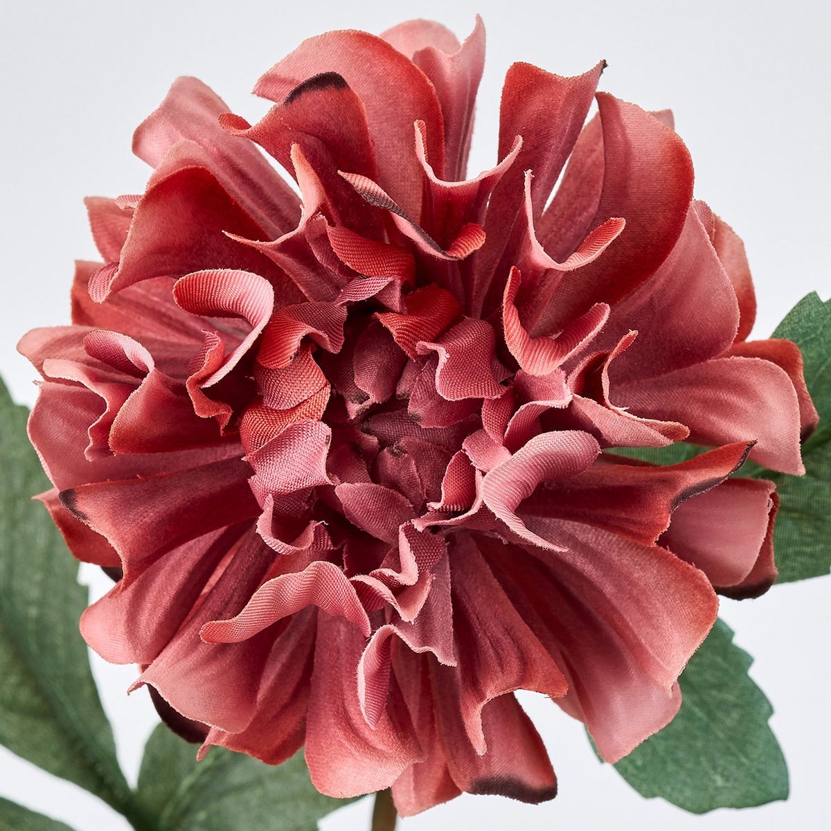 特価◎【造花】MAGIQ東京堂/羽衣ダリア モーブブラック #42 MV/BK/FM008565-042