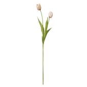 TULIP  チュ－リップ  レコードまとめ売り  11枚 Little Flowers Tulip Pink 