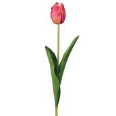 即日★【造花】MAGIQ東京堂/チアフルチューリップ ビューティレッド #3 BTY/RD/FM007848-003