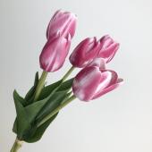 即日★【造花】MAGIQ東京堂/ミレチューリップバンドル ダークモーブ #42 DKMV/FM008051-042