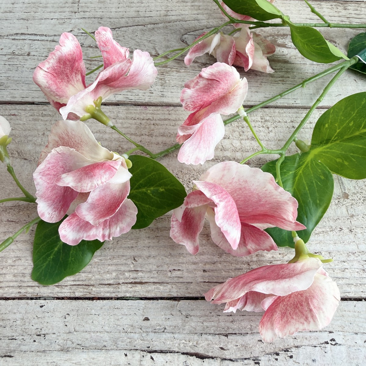 【造花】MAGIQ東京堂/フリルフルスイトピー ホットピンク #52 HOTPK/FM001119-052