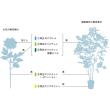即日★【造花】MAGIQ東京堂/ReCO 八重桜小枝 ピンク PINK/FM302301