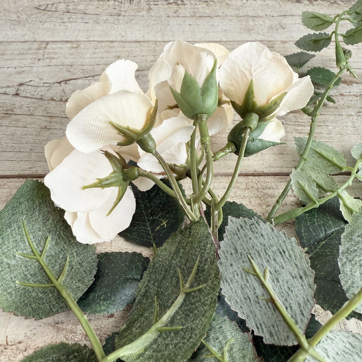 即日★【造花】MAGIQ東京堂/パレットローズ バニラ #30 VANILLA/FM000160-030