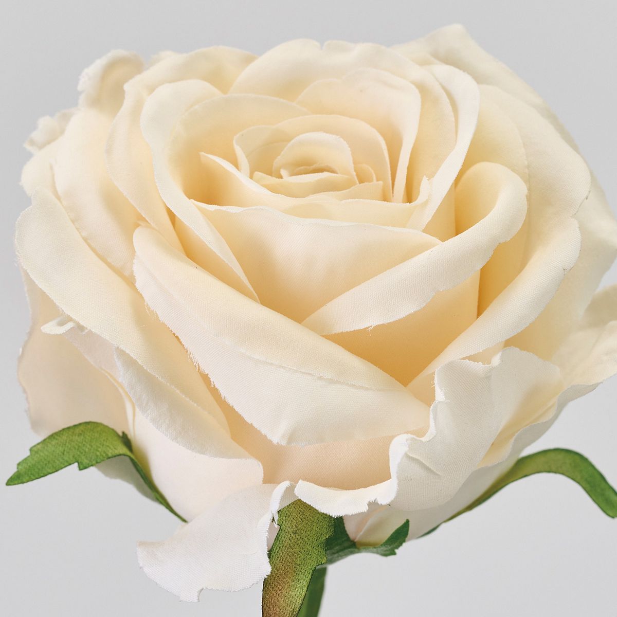 【造花】MAGIQ東京堂/スザンヌローズ バニラ #30 VANILLA/FM000110-030