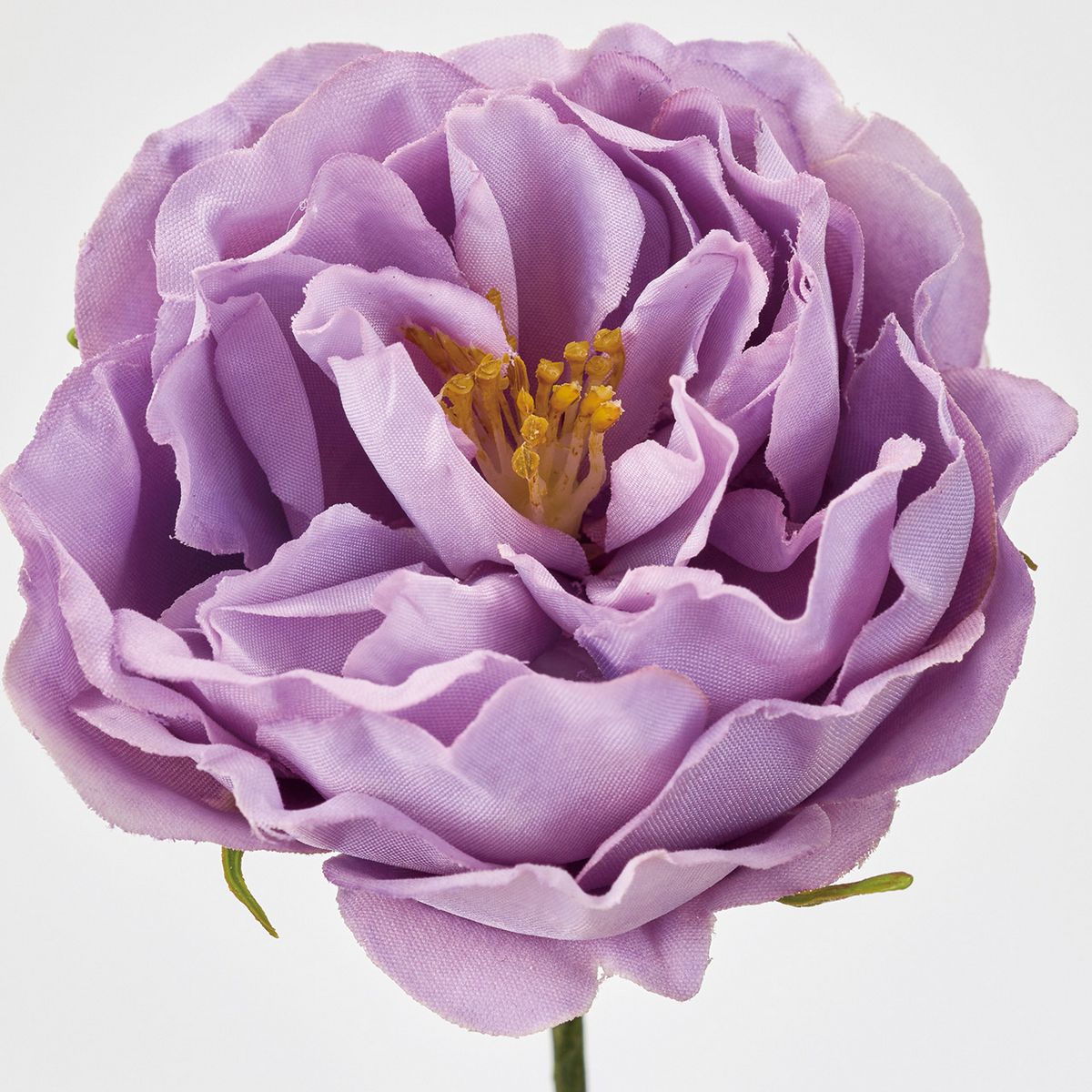 【造花】MAGIQ東京堂/アミュゼミディローズ パープル #17 PURPLE/FW090181-017