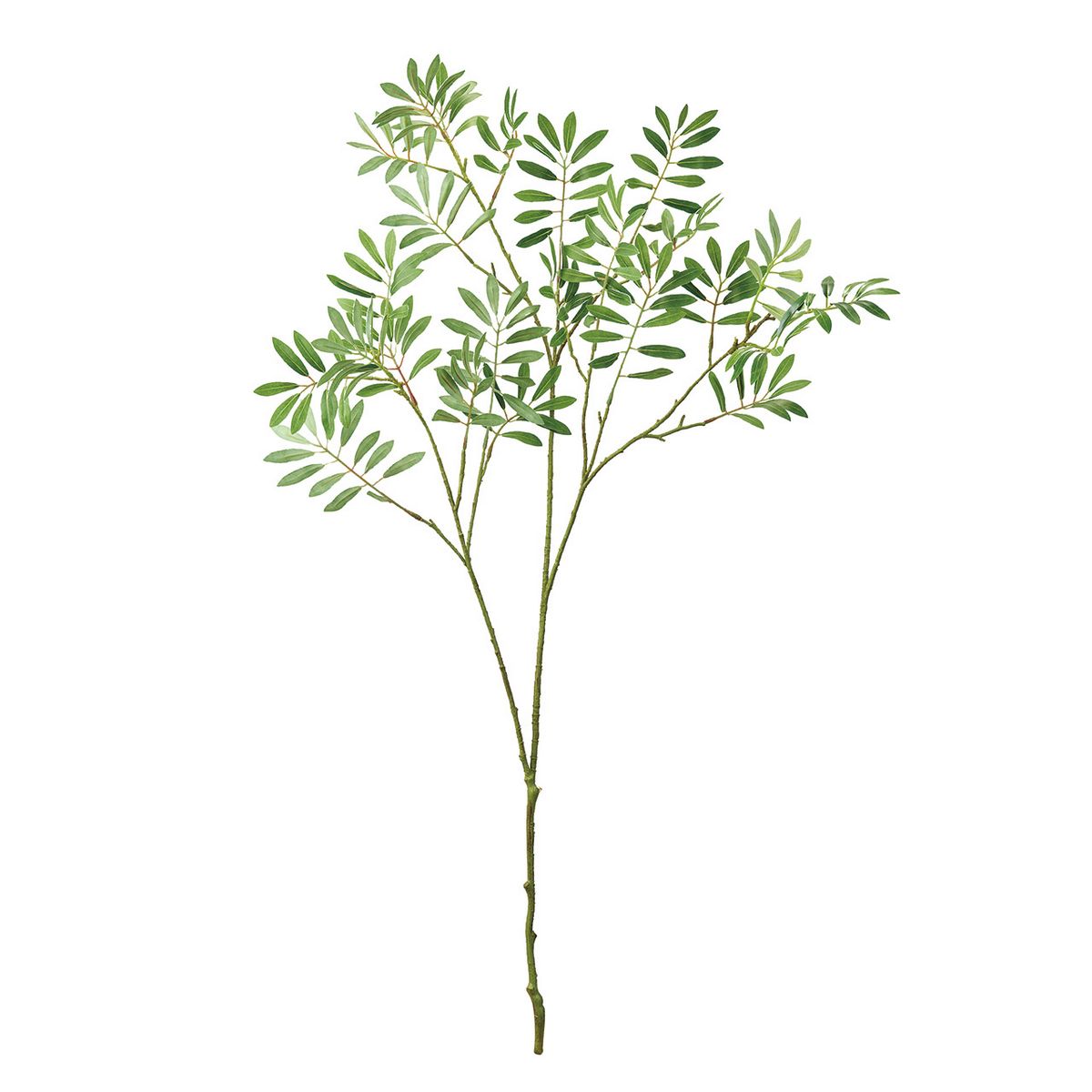 【造花】MAGIQ東京堂/カリステモンブランチ グリーン GREEN/FG000983