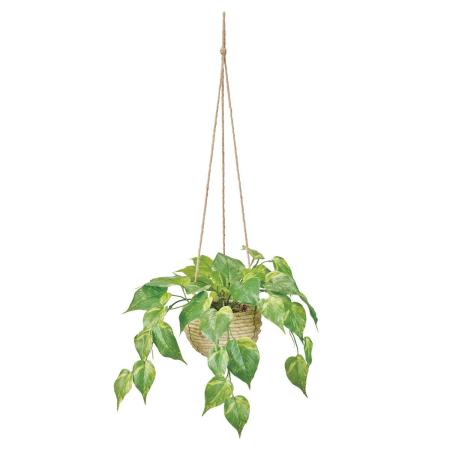 【人工観葉植物】MAGIQ東京堂/フレッシュポトスハンギング(光触媒)/ZV002008 ※返品キャンセル不可