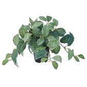 【人工観葉植物】MAGIQ東京堂/フィットニアポット(光触媒)/ZV009019 ※返品キャンセル不可