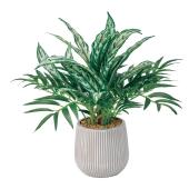 みーみー アグラオネ2株セット 人工観葉植物】MAGIQ東京堂/アグラオネマミックスリーフポット