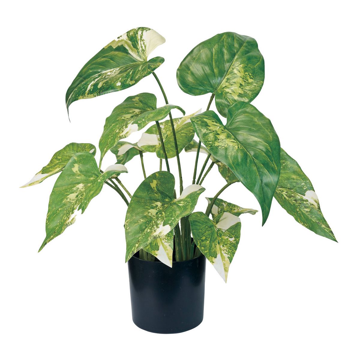 【人工観葉植物】MAGIQ東京堂/シンゴニューム斑入ポット(光触媒)/ZV000175 ※返品キャンセル不可