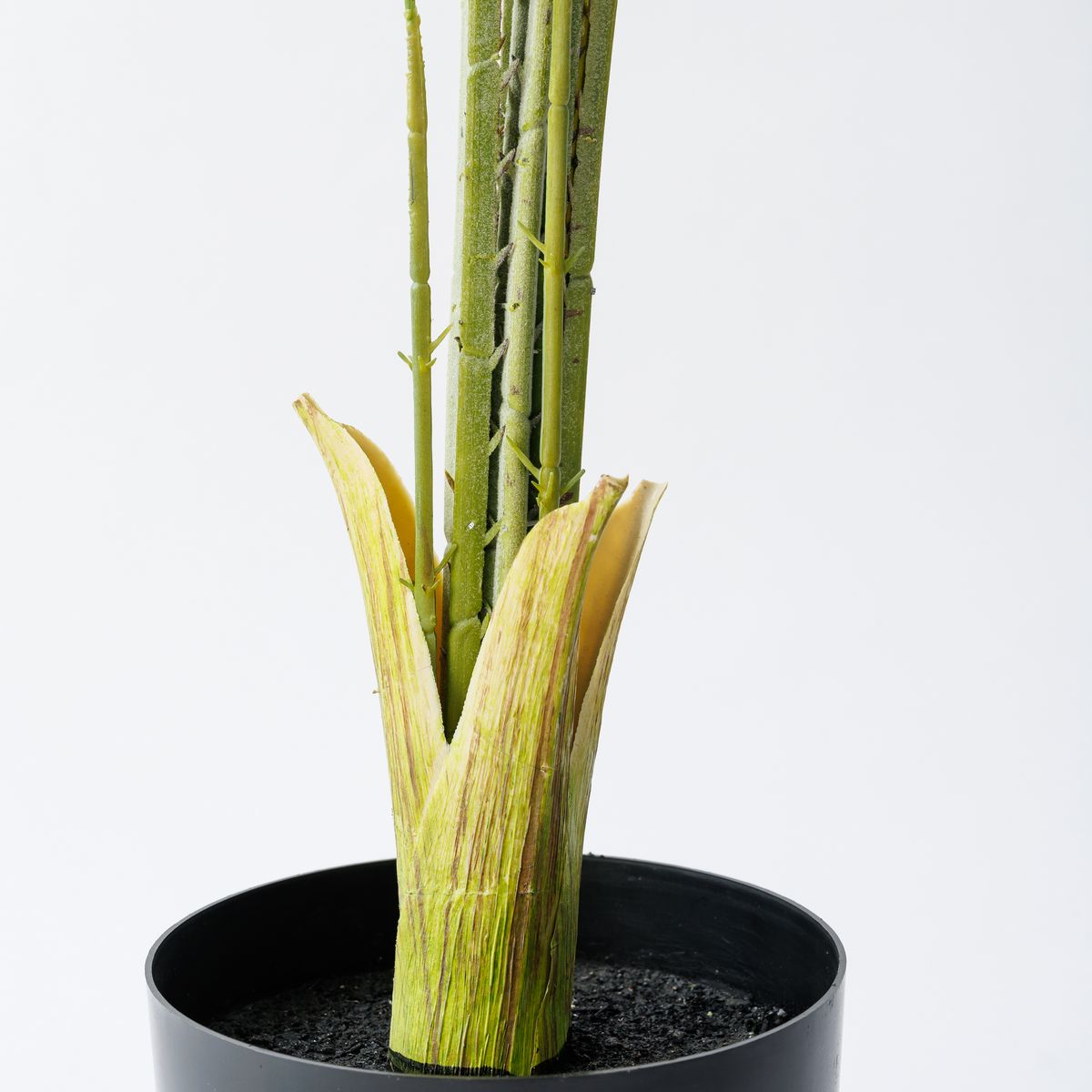 【直送】【人工観葉植物】MAGIQ東京堂/アレカパームポット5F グリーン GREEN/FG001913※返品・代引・キャンセル不可
