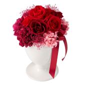 特価◎【プリザーブド】エマ #3 レッド/ZY006328-003