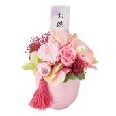 和の花 CATEGORY コーデックス | hanayoshi-botanical