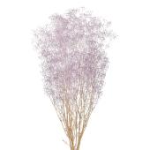 【プリザーブド】ミニカスミ草 アケビ/FD004551-049