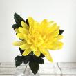即日★【造花】MAGIQ東京堂/山科菊 イエロー #4  YELLOW/FM0F4050-004