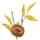 即日★【造花】MAGIQ東京堂/イガ栗ピック GR/BR グリーンブラウン/FM006545