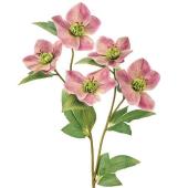 【造花】MAGIQ東京堂/アンヌクリスマスローズ #42 MV/GR モーブグリーン/FM000261-042