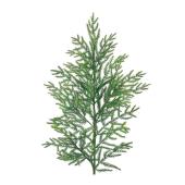 【造花】東京堂/フォレストシダーブランチ GREEN グリーン/XV002303