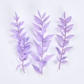 即日★【ドライ】東京堂/プチフラワー ラスカス アケビ/DU000101-049