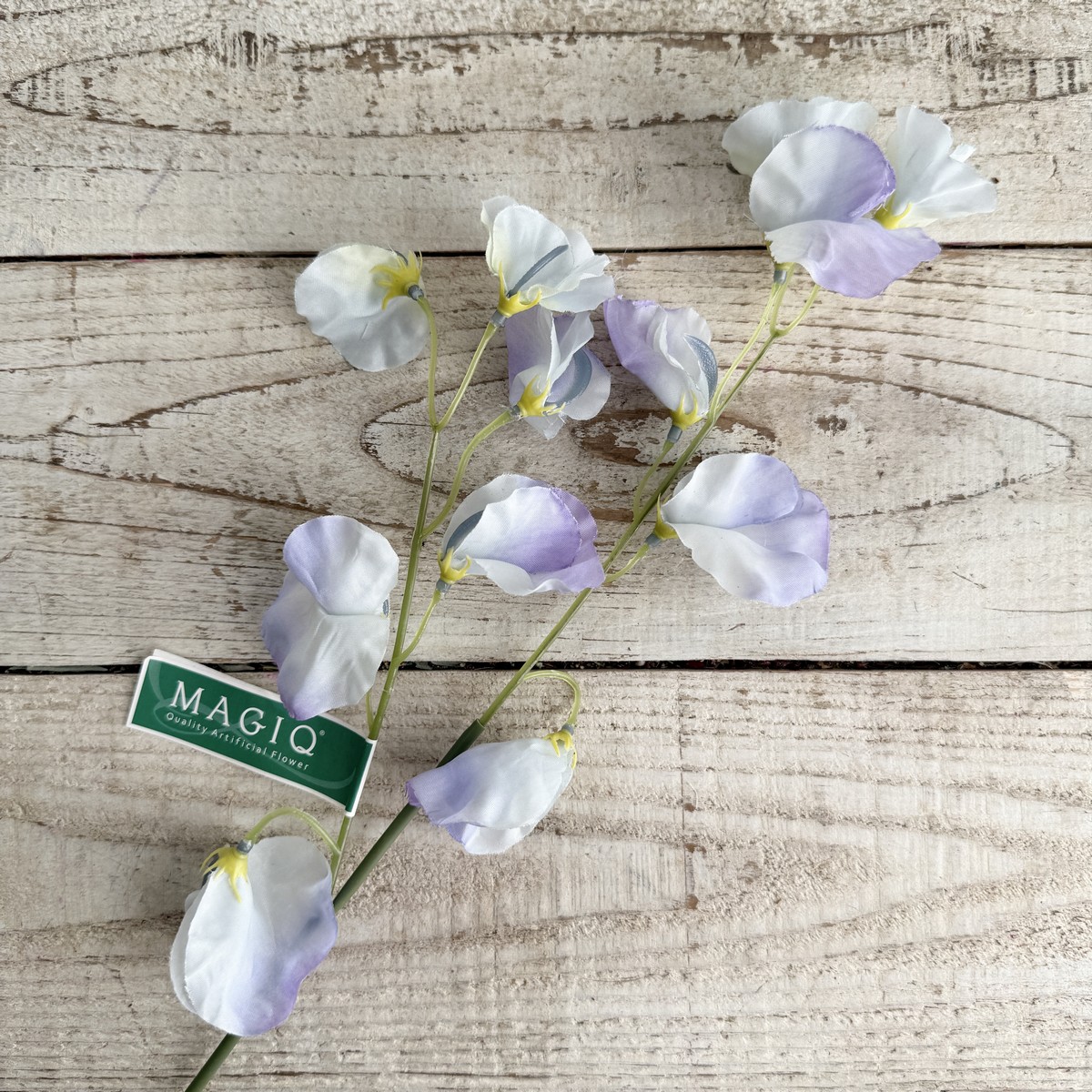 即日★【造花】MAGIQ東京堂/ソニアスイトピー #17 PURPLE パープル/FM001716-017