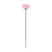 【造花】MAGIQ東京堂/ReCO インプレスネリネ #2  PINK ピンク/FM302514-002