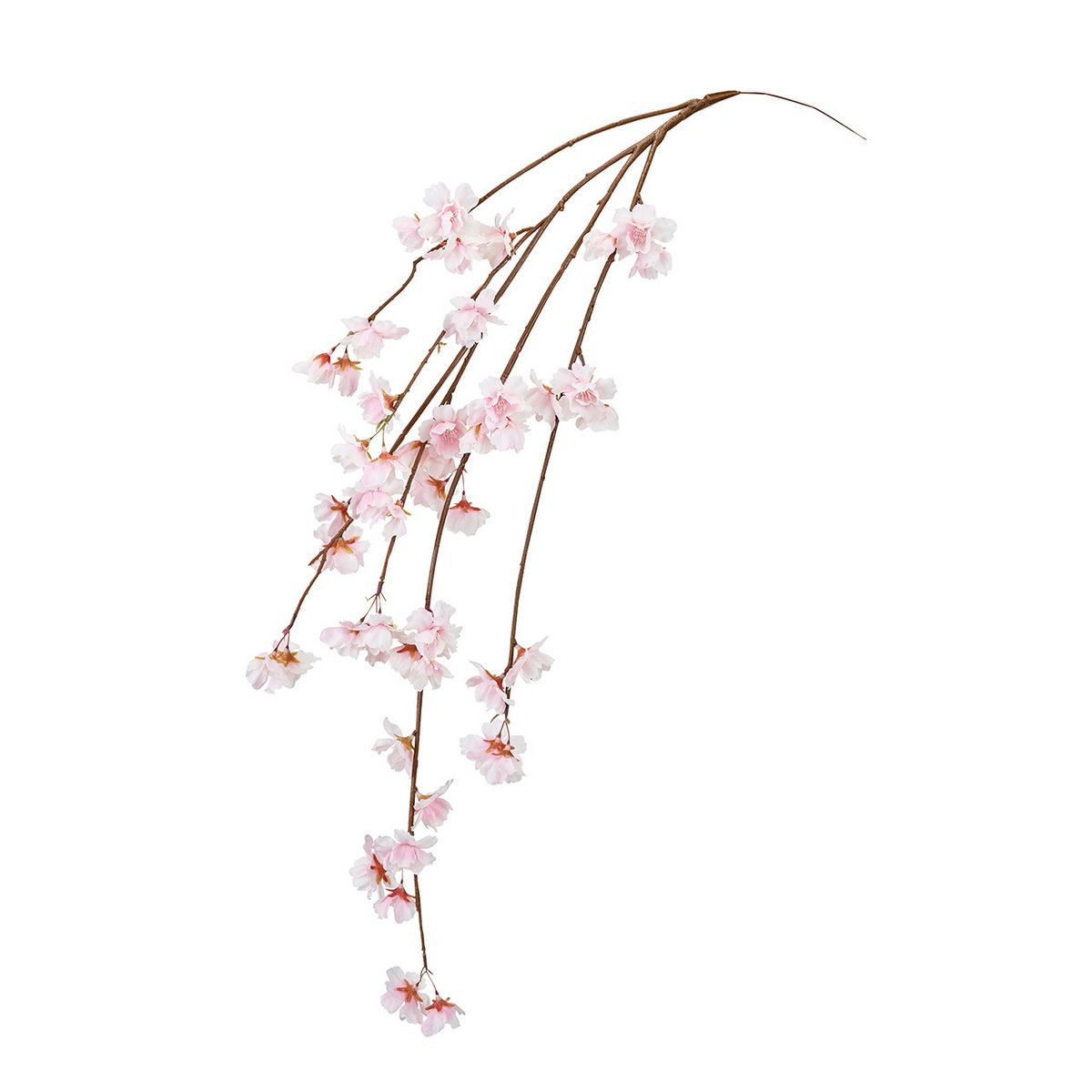 コラボ商品】Rozen Maiden x HoshibakoWorks 水銀燈ボレロ