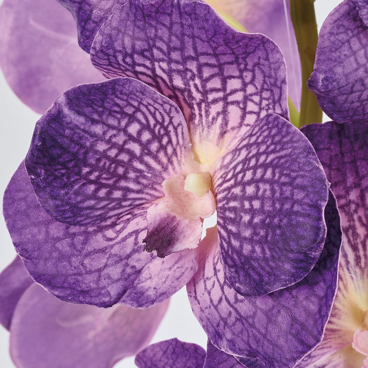 【造花】MAGIQ東京堂/ワイルドバンダオーキッド PURPLE パープル/FW020475