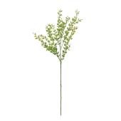 【造花】MAGIQ東京堂/ルスカスロングスプレー YEGR イエローグリーン/FG000152