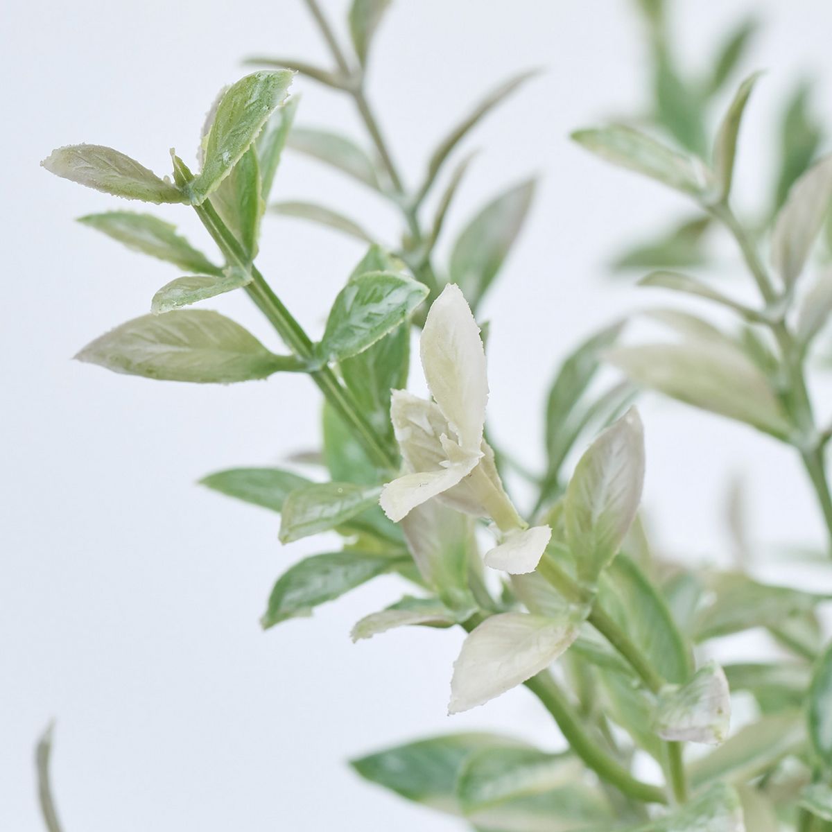 即日★【造花】MAGIQ東京堂/フィールルスカスブッシュ #22 GR/WH グリーンホワイト/FG001803-022