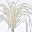 【造花】MAGIQ東京堂/エアプランツ #1  WHITE ホワイト/FG001364-001