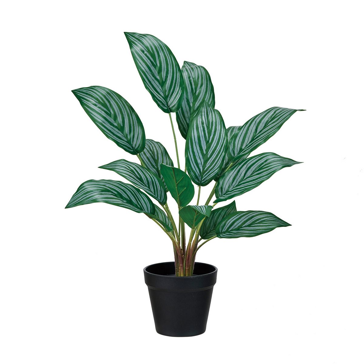 【人工観葉植物】MAGIQ東京堂/アグラオネマリリアン(光触媒)/ZV001856 ※返品キャンセル不可